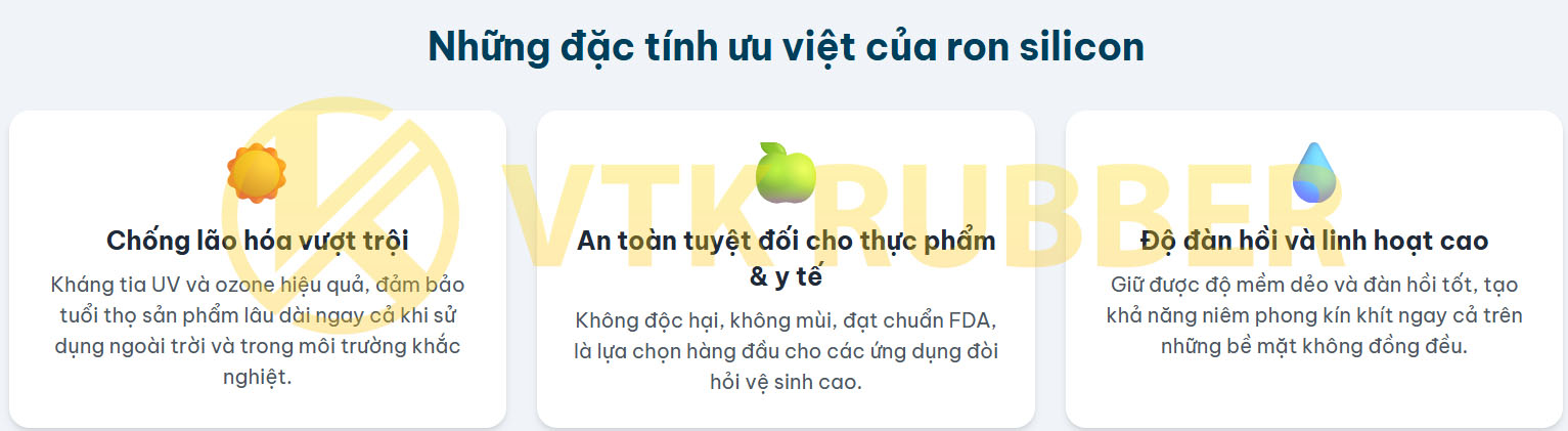 25 vtk ron silicon dun 02